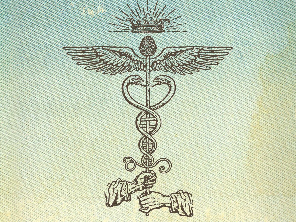 The Best Human&nbsp;Race