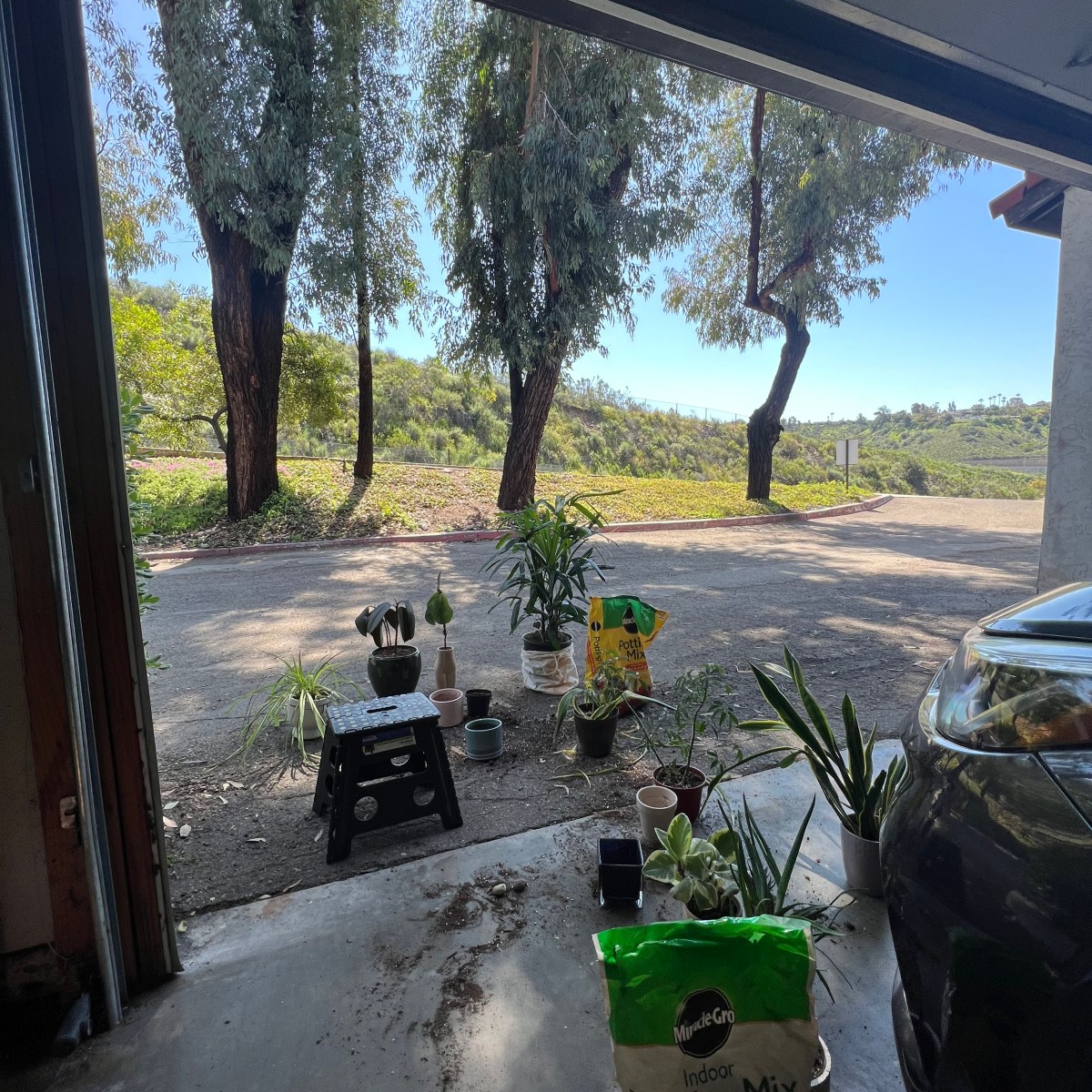 Tending to my&nbsp;Emotions